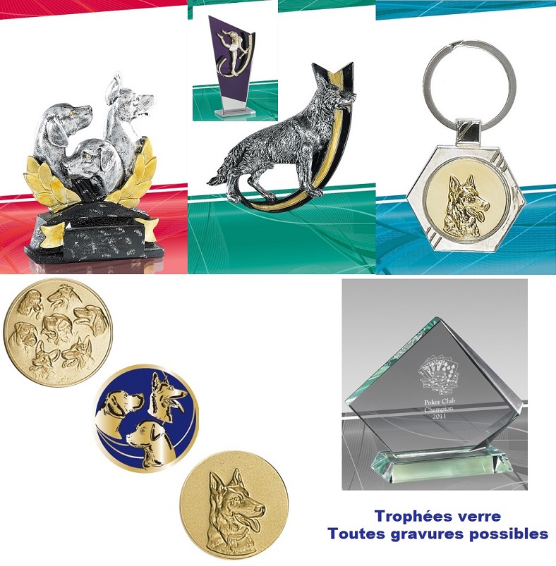 Trophées concours canin félin