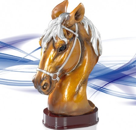 Trophée équitation cheval tete concours
