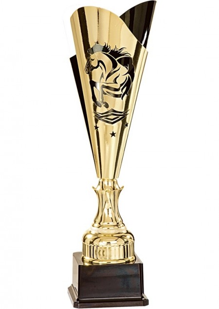 coupe trophee cheval aquitation