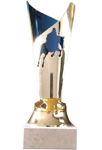 Lot promo coupes trophees cso obstacle cheval qui saute
