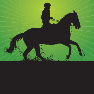design CCE concours complet equitation plaques et flots