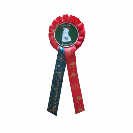 flot cocarde rosace noel 31 decembre ruban concours cheval chevaux