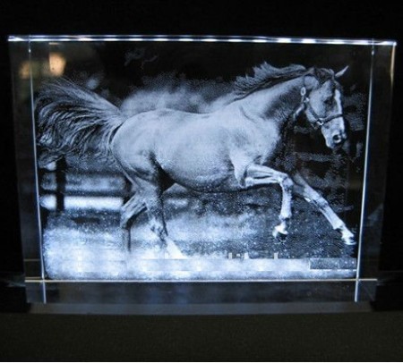 Souvenir cheval verre 3D