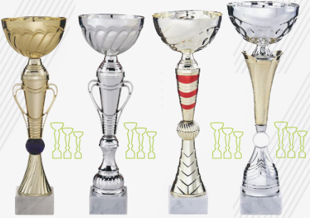 lot promo 12 coupes discount equitation concours