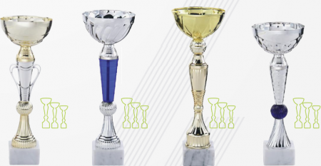 Promo lot 12 coupes multisport ou equitation concours