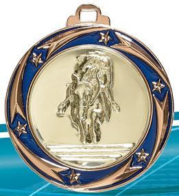 Medaille bleue tout sport grande equitation hippique cheval poneys