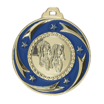 médaille concours bleue equitation  hippique et autres sports champion