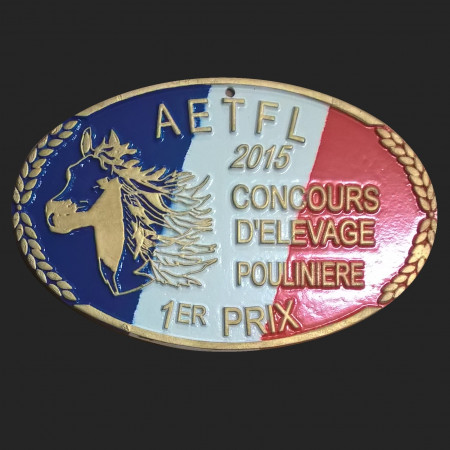 recompense plaque concours equitation metal fer alumunium forgé