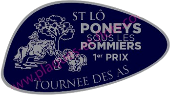 plaque moderne traditionnelle en fonte