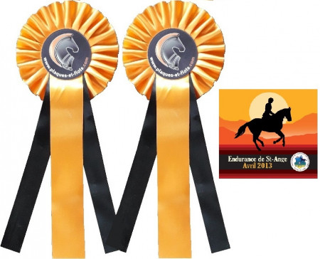 Ensemble flot cocarde plaque en promotion concours chevaux equitation poneys equestre canin