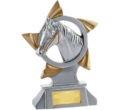 torphee poney cheval competition equestre elevage dressage cso