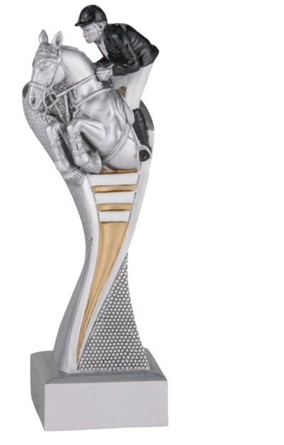 Trophée concours obstacles equitation hippique cso equestre cheval poney