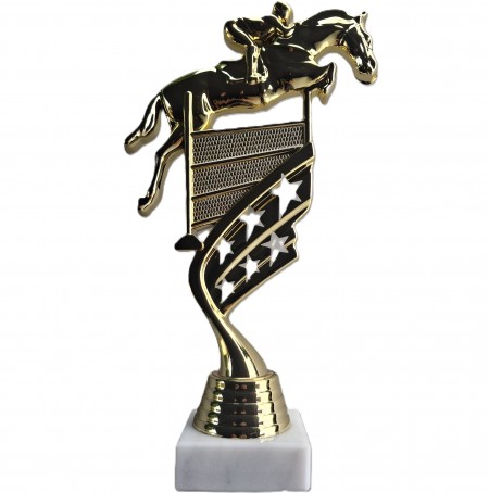 trophee concours obstacles equitation poney chevaux cavalier