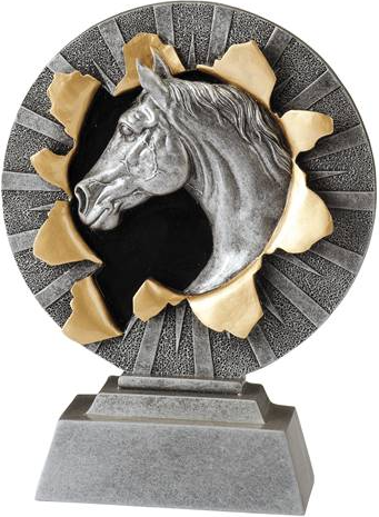 Beau trophee coupe cheval expressif dressage elevage ethologie