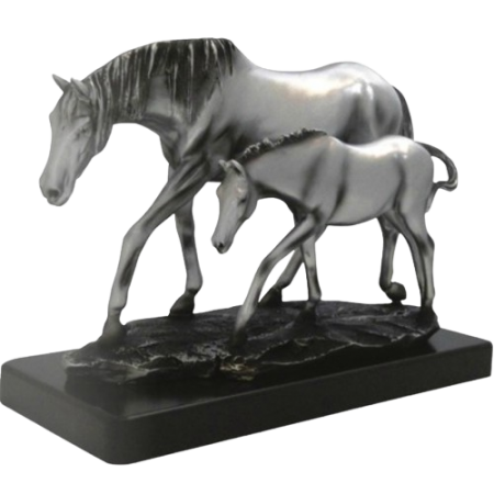 Trophée modèle et allures élevage concours polinière comice foal poulain yearling
