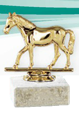 mini trophee cheval poney concours equitation hippique allures liberte