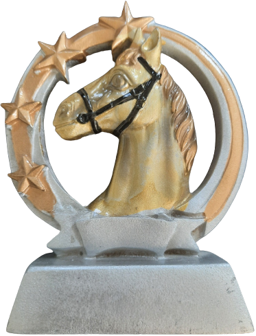 Tête de poney en trophee ou concours equitation cheval plaque