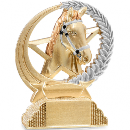 récompense trophée coupe concours chevaux poneys cheval equitation equestre
