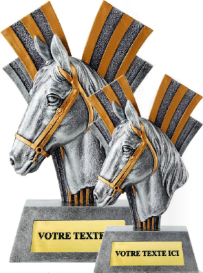 Beau trophee coupe cheval expressif dressage elevage ethologie