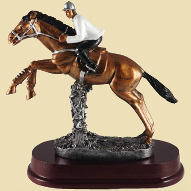 Trophées concours complet CSO equitation chevaux cheval equestre poneys poney