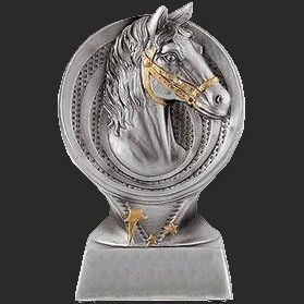 trophee-equitation concours equestre chevaux poney cheval poneys CSO DRESSAGE game