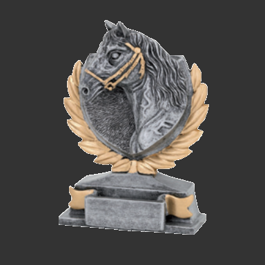 Trophees vainqueur  gagnant concours equestre prix