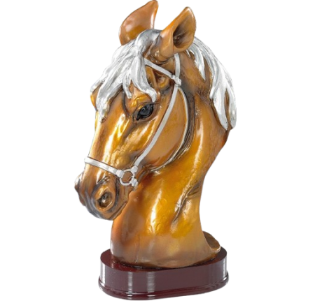 Trophée équitation cheval tete concours poney cso dressage elevage