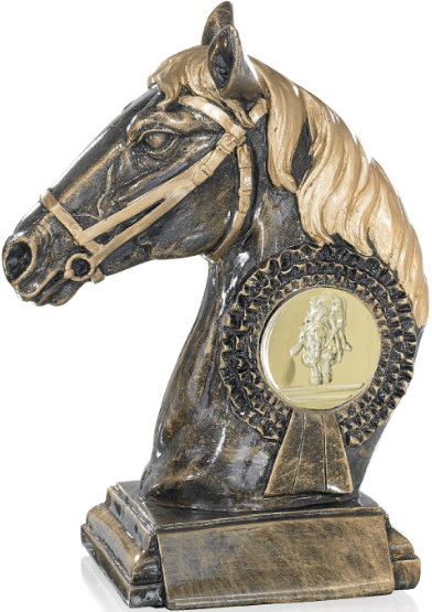 buste de cheval poney tete concours competition plaque flot personnalisable