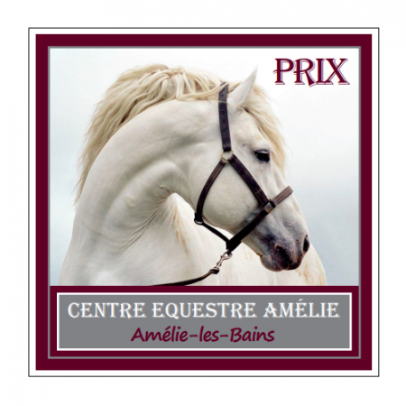 plaques concours equitation chevaux aluminium alu personnalisable CCE