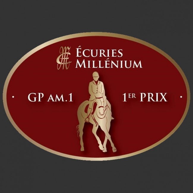 CHEVAUX PLAQUE CONCOURS HIPPIQUE 1969 International Prix