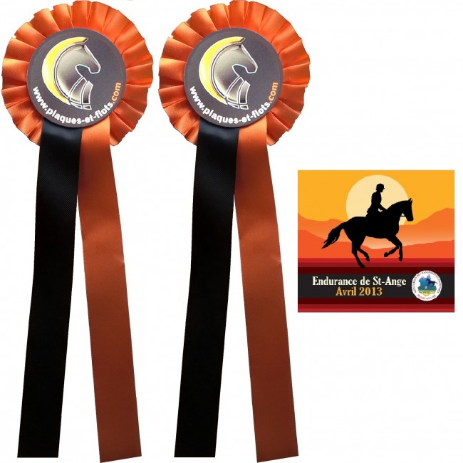Fer à Cheval Commémoratif 1er Prix - Plaque Emblème Équitation - Médaille Vainqueurs