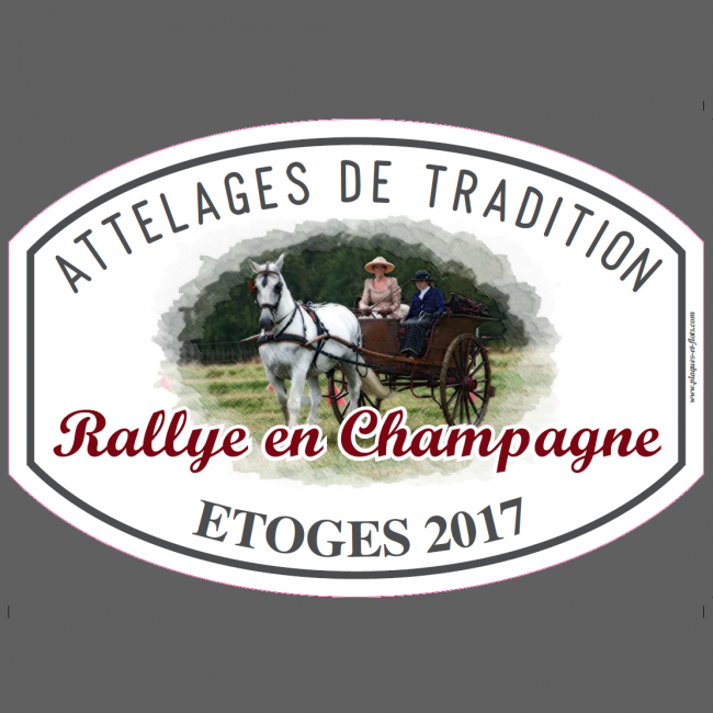 PLAQUES CONCOURS HIPPIQUE chevaux équitation vintage déco loft x 3
