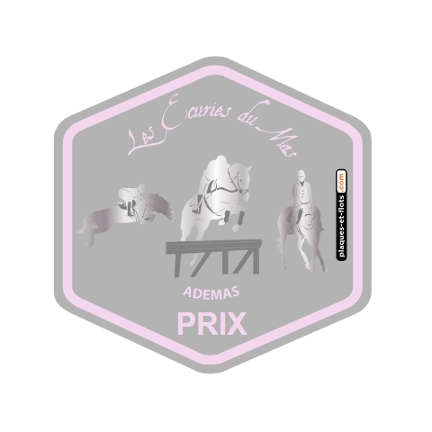 Plaque De Concours Hippique - 6ème Prix De Chambost Longessaigne 1968 - Collection