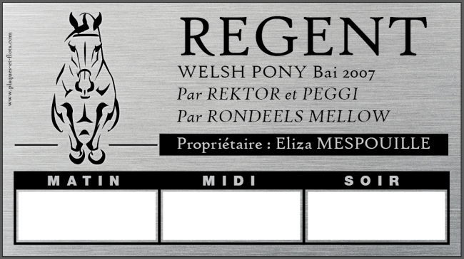 Enseigne écurie Personnalisée Cheval - Effet Doré, Texte Noir, 10 Options Au Choix, Neuve