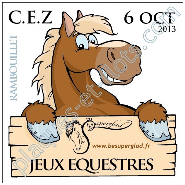 CONCOURS HIPPIQUE NATIONAL LE GRAND LUCE SARTHE , Mé... - 86089281-2661