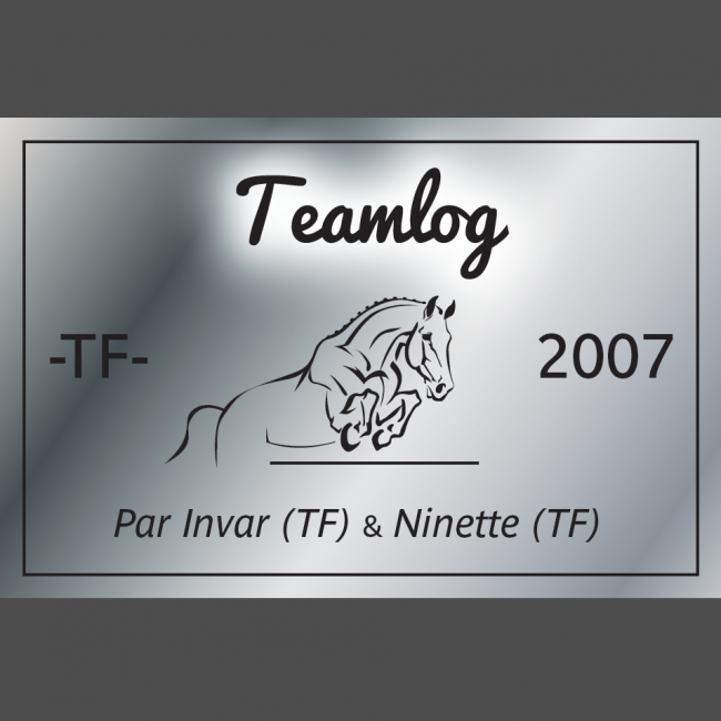 Plaque d’immatriculation personnalisée prénom en ligne, petit prix Plaque d’immatriculation personnalisée prénom en ligne, petit prix
