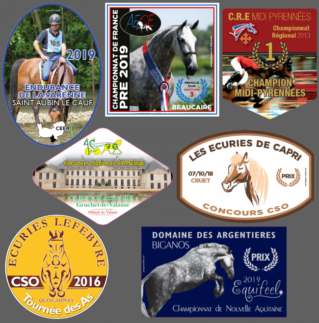 Vintage poster - Concours hippique international, Genève - Galerie 1 2 3