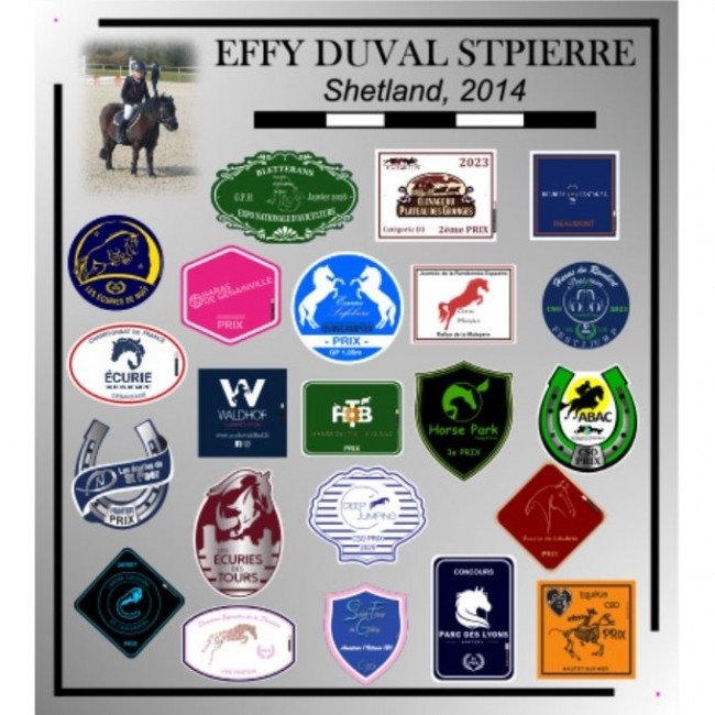 Plaque concours cheval 1956 - Collection