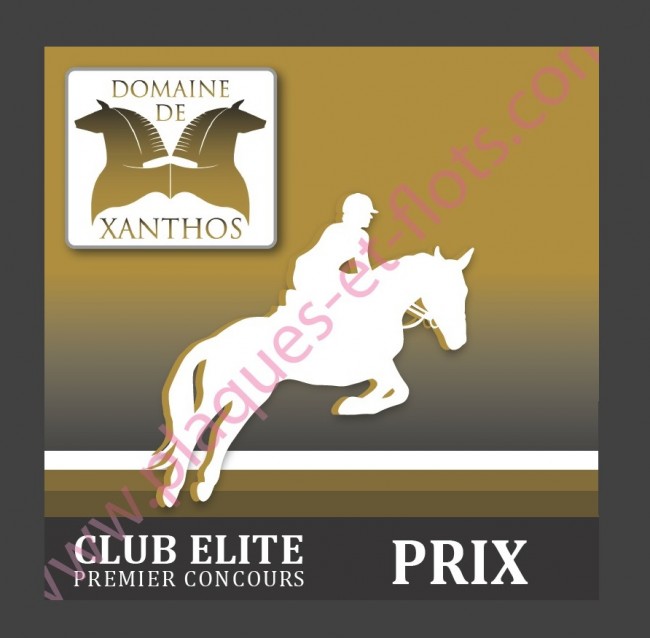 Centre équestre, équitation, poney, hippique à Dijon, 21000