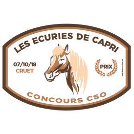 plaque ovale tronque concours poney cheval aluminium equitation