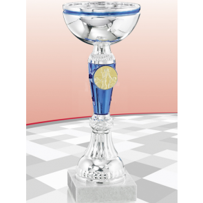 Coupe personnalisable par pastille sport ou logo et plaque socle