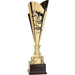coupe trophee cheval aquitation