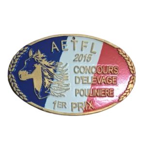 recompense plaque concours equitation metal fer alumunium forgé