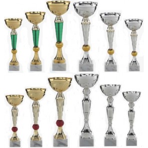 Promo lot 12 coupes multisport ou equitation concours