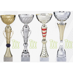 lot promo 12 coupes discount equitation concours