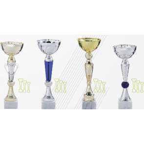 Promo lot 12 coupes multisport ou equitation concours