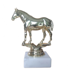 mini trophee cheval poney concours equitation hippique allures liberte
