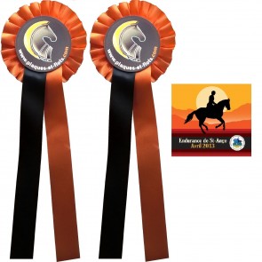 Pack promo ensemble de flots et plaques equitation pas cher vente en lot