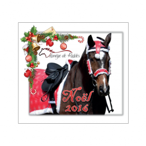 design de noel sur plaque et flot concours equitation