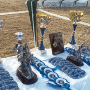 Ensemble de plaques et de flots d'équitation